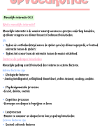 Samenvatting Opvoedkunde Examencomissie 2023-2024