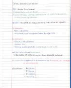 Samenvatting Biologie 5 VWO DNA