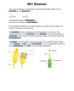 Biologie samenvatting havo/vwo 1 Thema 6