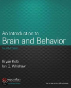 Grote samenvatting van \'Brain and Behavior\' inclusief afbeeldingen 