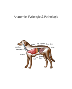 Anatomie,  fysiologie en pathologie 
