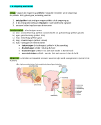 Samenvatting biologie Thema 5 Waarneming, gedrag en regeling 1 havo/vwo deel b