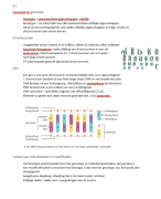 Biologie samenvatting Hoofdstuk 3 Genetica