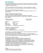 Lichamelijke belasting 