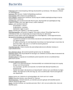 Summary Blok 24 MLW