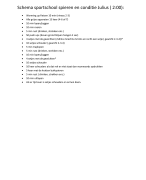 Cardio sport schema (conditie en spieren)