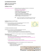 De Citroenzuurcyclus