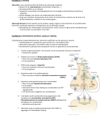 Adrenerge farmacologie 