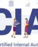 CIA Part 1 Quiz and answers 125 questions