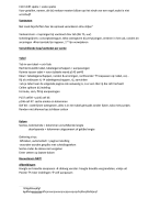 Samenvatting Word
