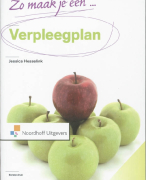 Zo maak je een verpleegplan! Samenvatting 