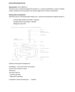 samenvatting Spijsvertering 