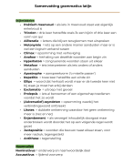 Samenvatting alle grammatica Latijn
