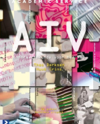 AIV  Samenvatting 