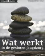 Wat werkt  Samenvatting 