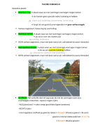 Theorie examen rijbewijs B