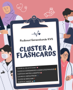 Flashcards KVS cluster A