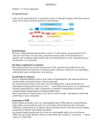 Samenvatting city marketing